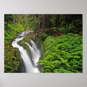 Poster Sol Duc Falls dans le parc national olympique 2