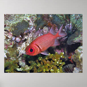 Poster Soldière