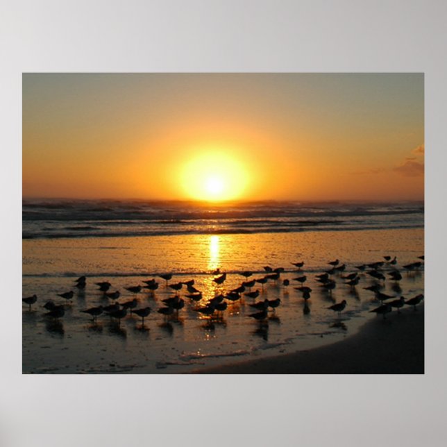 Poster Soleil (Devant)