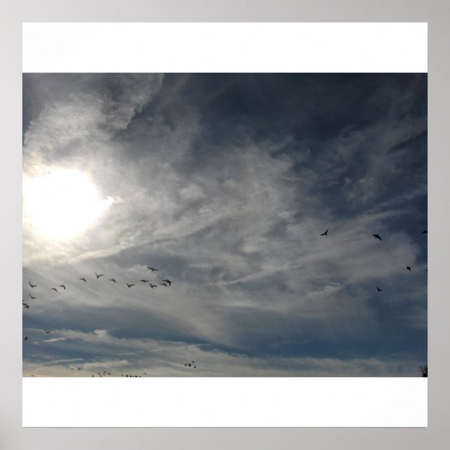 Poster soleil blanchi (Devant)