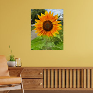 Poster Soleil brillant
