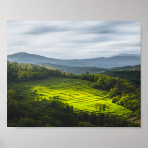 Poster Soleil brillant sur le terrain des terrasses