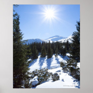 Poster Soleil d'hiver 5