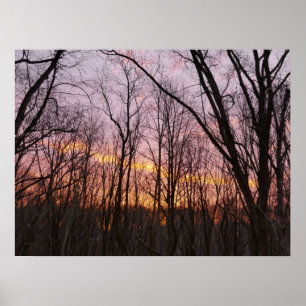 Poster Soleil d'hiver II