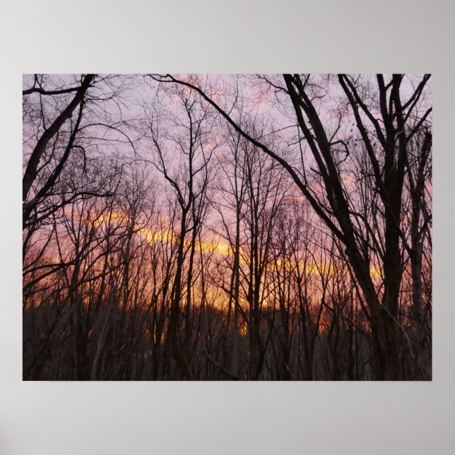 Poster Soleil d'hiver II (Devant)