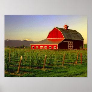 Poster Soleil du soir sur une grange dans le Skagit de Wa