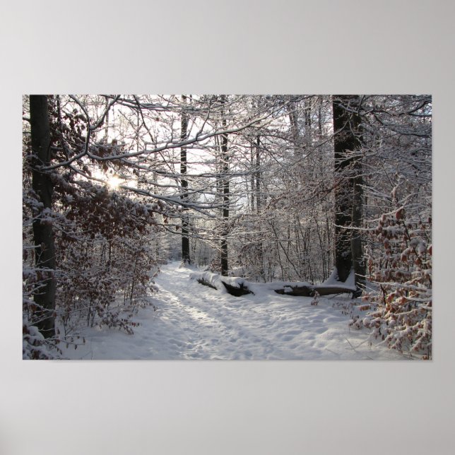 Poster Soleil et froid (Devant)