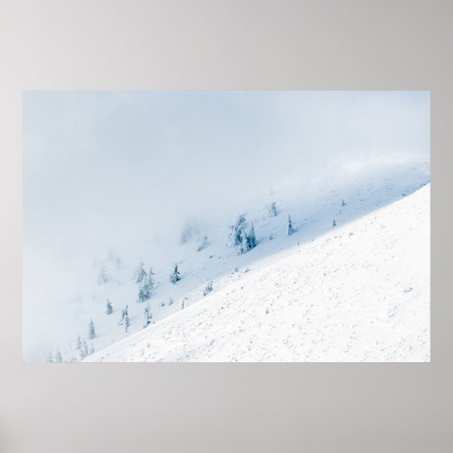 Poster Soleil et nuages des arbres gelés dans les montagn (Devant)