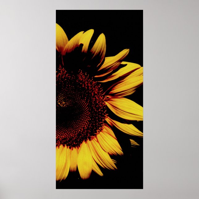 Poster Soleil foncé (Devant)