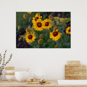 Poster Soleil vif : Photographie de tournesol orange