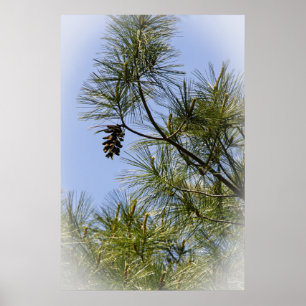 Poster Solitair