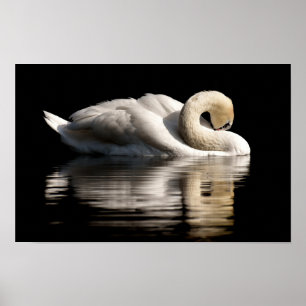 Poster Solitary