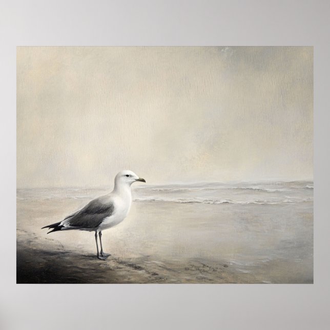 Poster Solitary Seagull by the Shore (Devant)