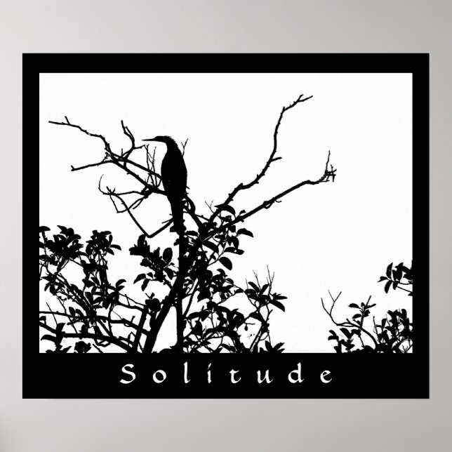 Poster Solitude (Devant)