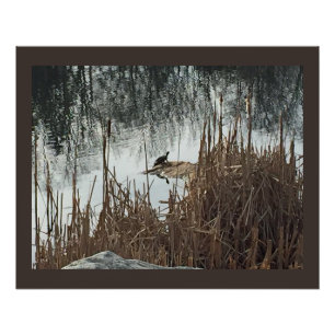 Poster Solstice d'hiver