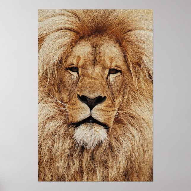 Poster Son Altesse Royale (Devant)