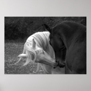 Poster Son Amour