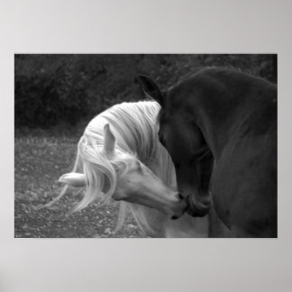 Poster Son Amour
