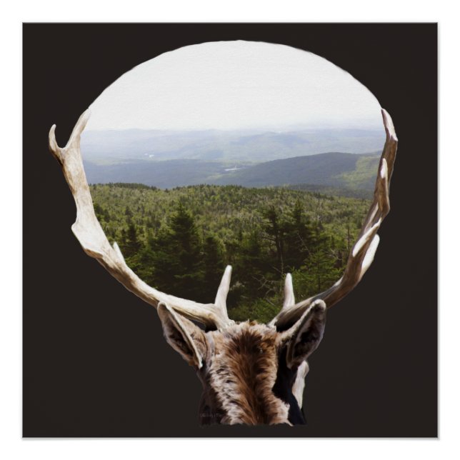 Poster Son domaine (Devant)