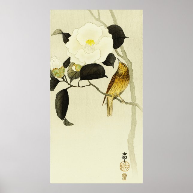 Poster Songbird & Camelia (Devant)