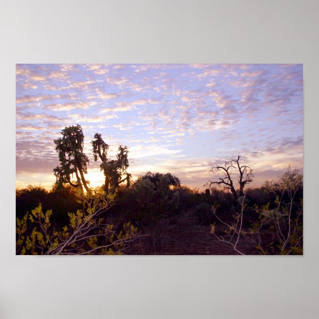 Poster Sonoran Sunset (Devant)