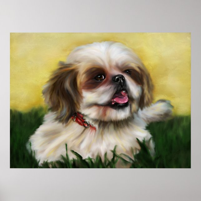Poster Sophie Shih Tzu (Devant)