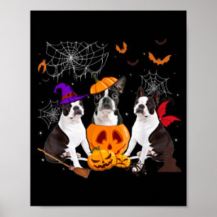 Poster Sorcière de citrouille drôle Boston Terrier Chien 