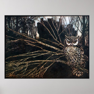 Poster Sorcière sous forme de hibou