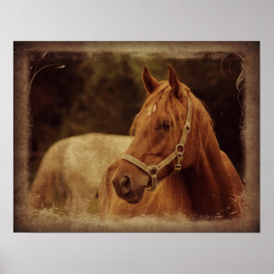 Poster Sorrel Horse
