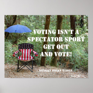 Poster Sortez Du Vote