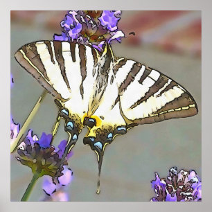 Poster Soudure Jaune Commune Sur Fleurs Lilac Noir O