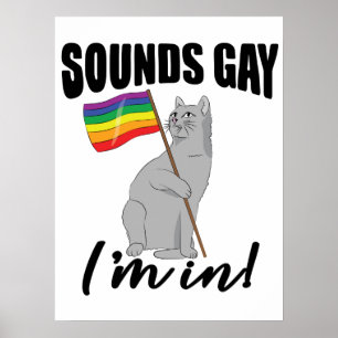 Poster Sounds Gay I'm