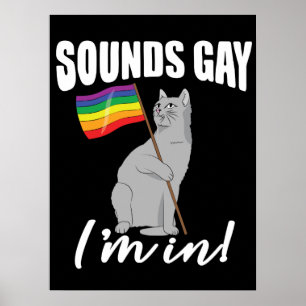 Poster Sounds Gay I'm
