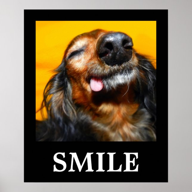 Poster Sourire (Devant)
