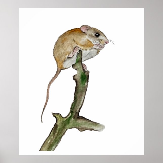 Poster Souris aquarelle réaliste dans l'arbre (Devant)
