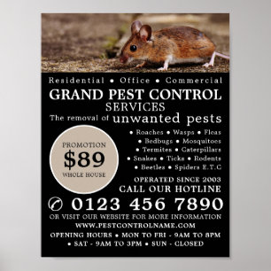 Poster Souris, Lutte antiparasitaire Publicité