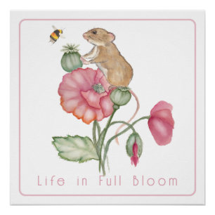 Poster Souris mûre en floraison sur le pavot