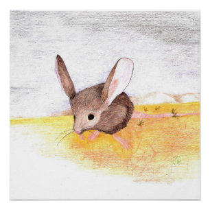 Poster Souris sèche