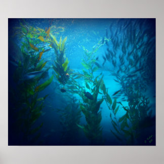 Poster Sous la mer