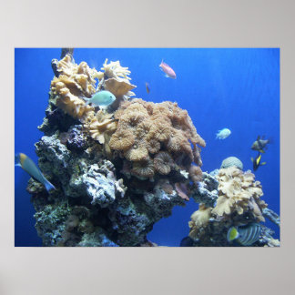 Poster Sous la mer