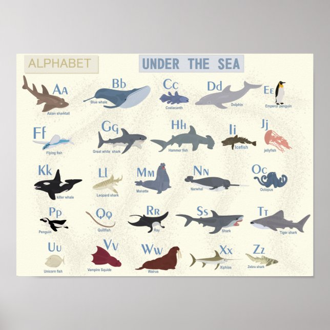 Poster Sous l'alphabet marin (Devant)