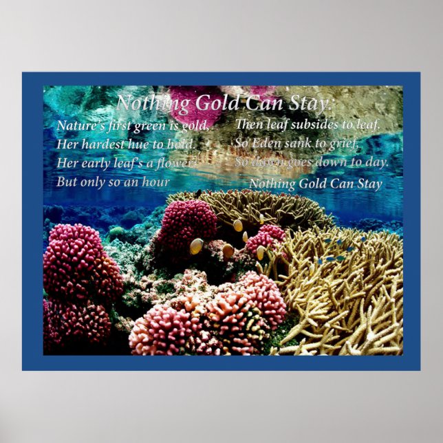 Poster Sous l'eau (Devant)