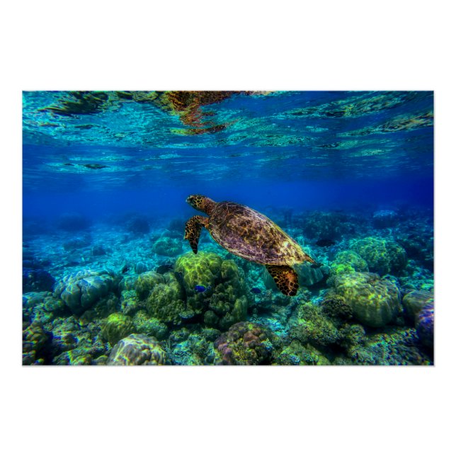Poster Sous-marin Tropical Sea Turtle Coral (Devant)