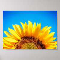 Soutenez Ukraine bleu ciel jaune tournesol