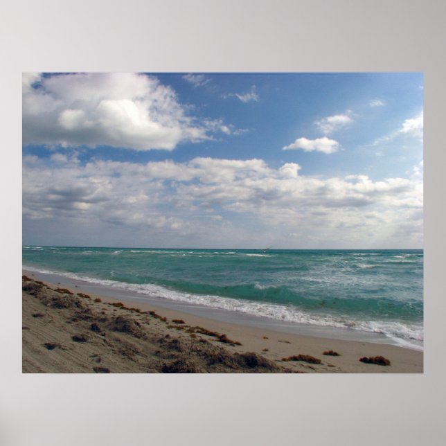 Poster South Beach (Devant)