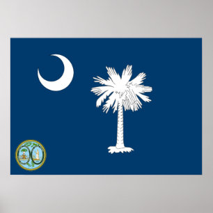 Poster South Carolina flag