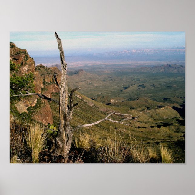 Poster Southern Vista - Big Bend, Texas (Devant)