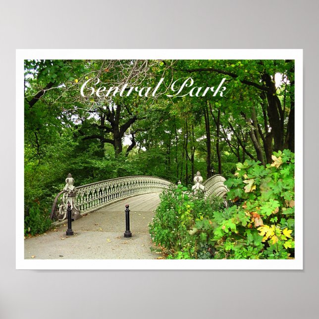 Poster Southwest Réservoir Bridge Central Park, NYC (Devant)