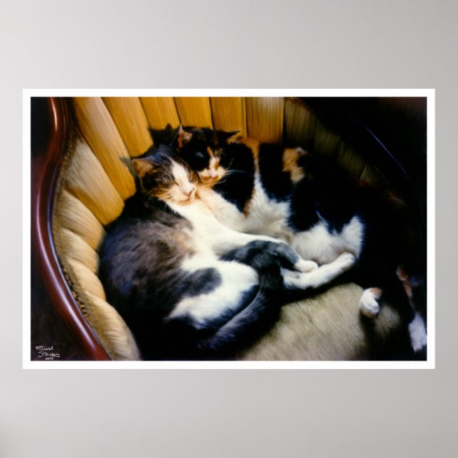 Poster Soutien mutuel (Devant)