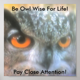 Poster Soyez hibou sage pendant la vie ! , Salaire Clos…